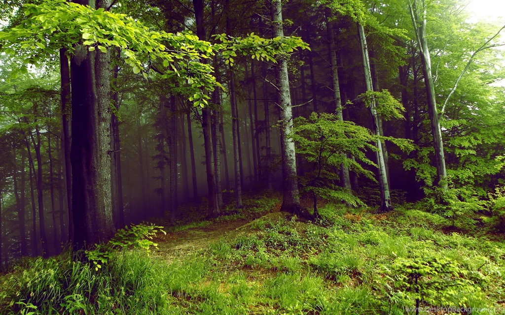 Mysterious Hd Wallpapers