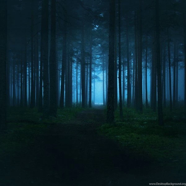 Mysterious Forest By Iridescent Happiness On Deviantart Desktop Background Mysterious Forest By Iridescent Happiness On Deviantart Desktop Background