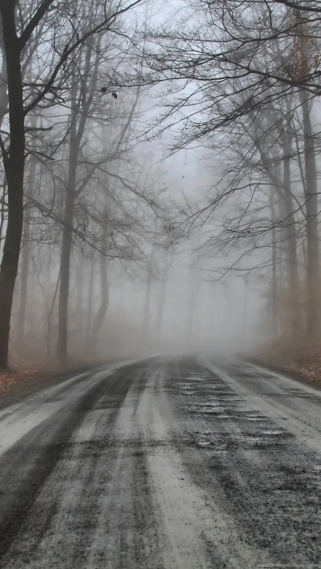 640x1136 Mysterious Forest Road & Foggy Iphone 5 Wallpapers