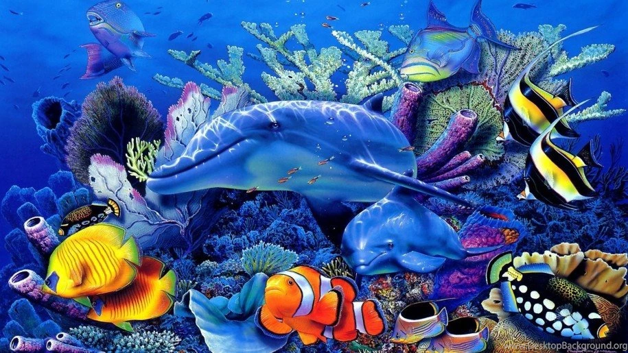 Ocean Underwater World Dolphin Coral Exotic Tropical Fish ...