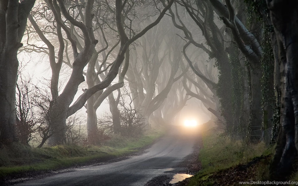 Amazing Fog Wallpapers