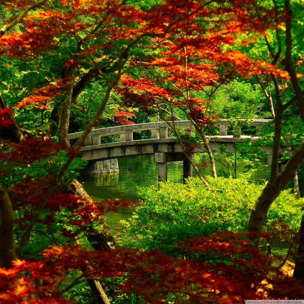 Hd Ipad Wallpapers