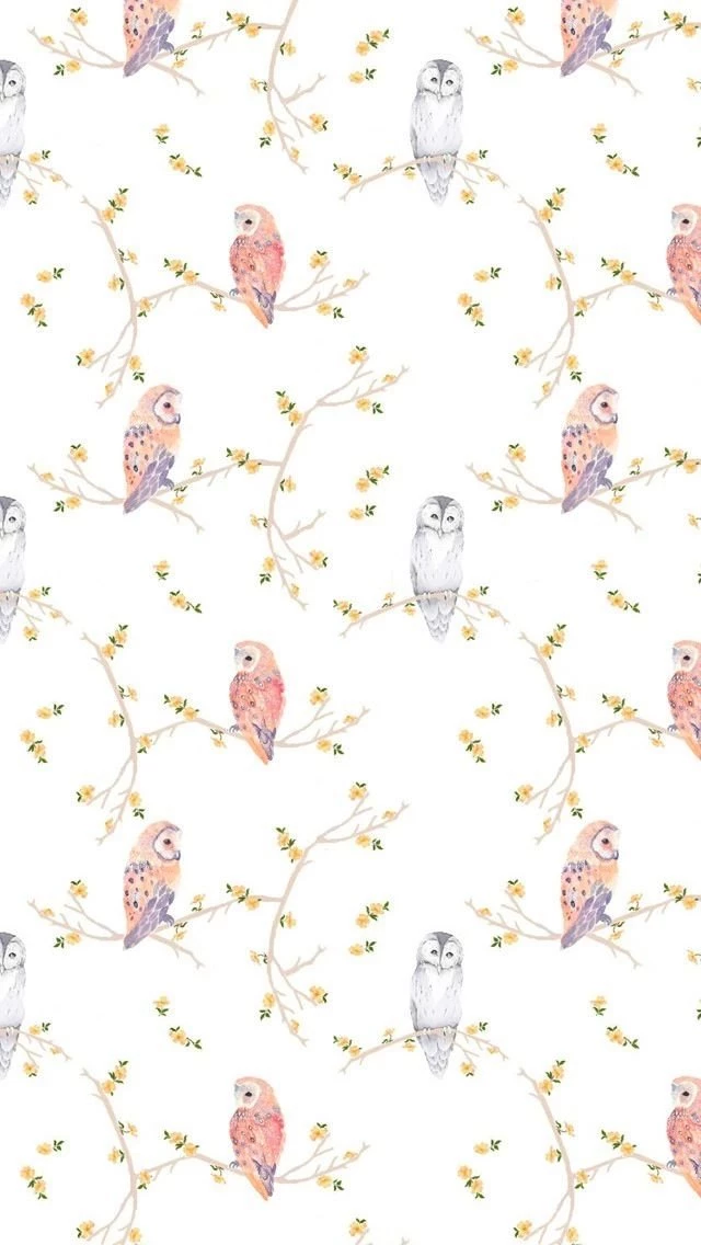 Wallpapers For iPhone 5 Find A Wallpaper, Backgrounds Or Lock ...