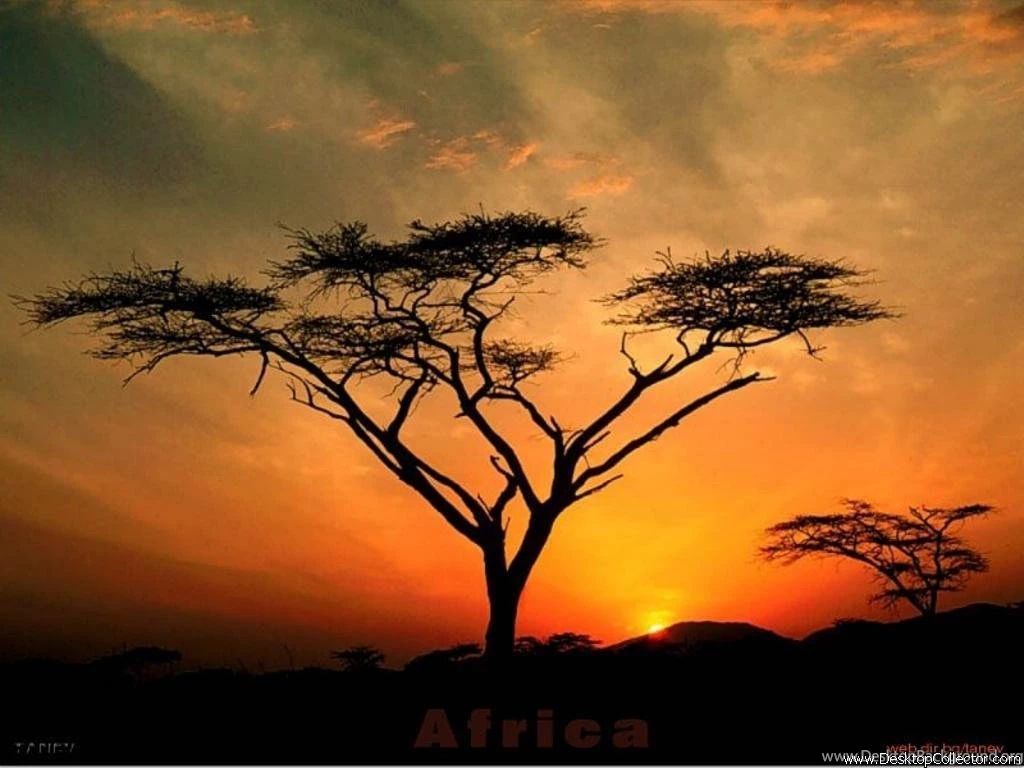 Wallpapers Inspiration & Creativity Wallpapers (22380489) Fanpop