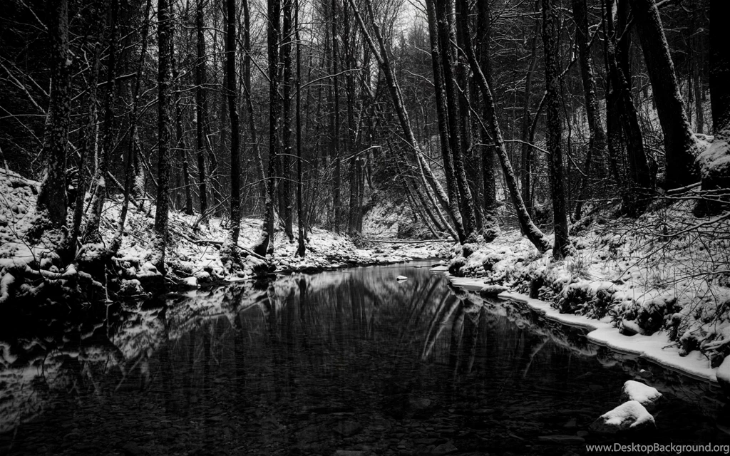 Black And White Wallpapers Collection (28+)