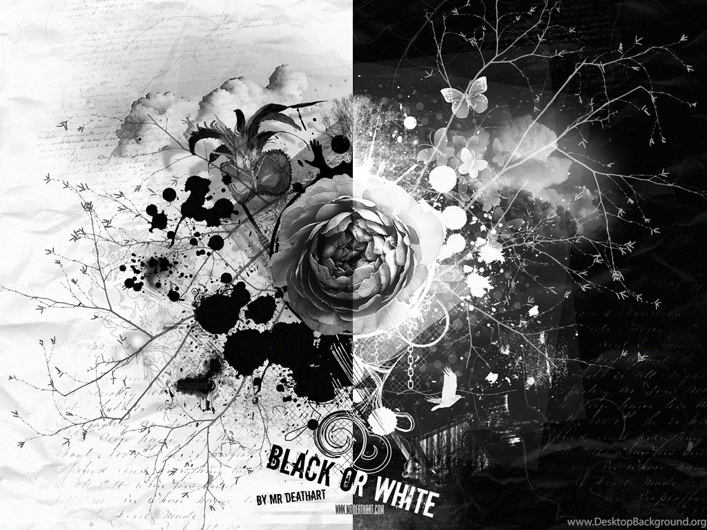 White And Black Wallpapers Collection (29+)