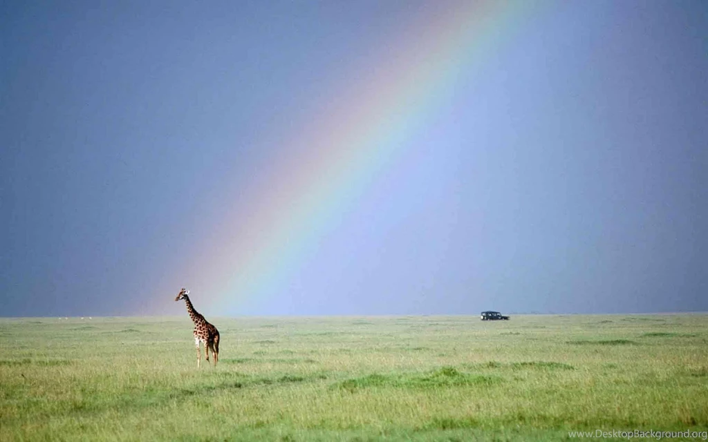 Nature Rainbow Images