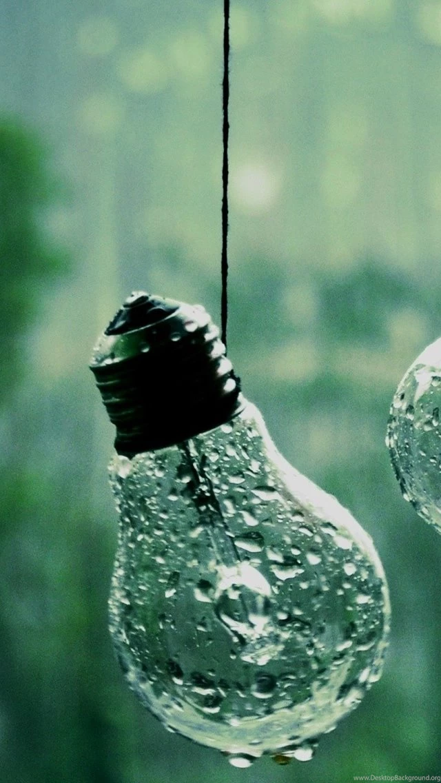 Drops On Bulbs iPhone 5s Wallpapers Download
