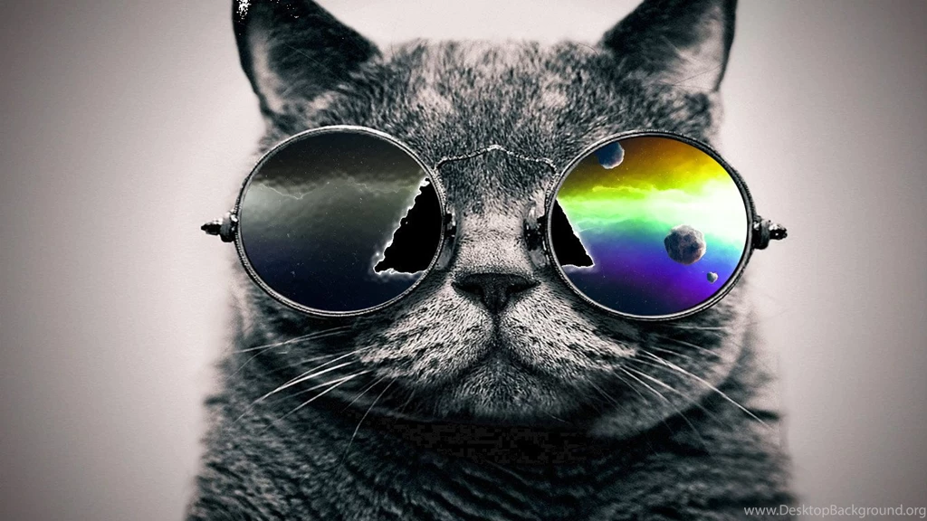 Cool Cat With Glass Wallpapers Hd