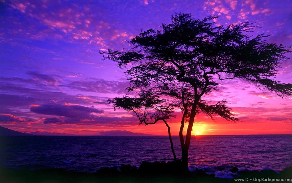 Purple Sunset Wallpapers HD Images New