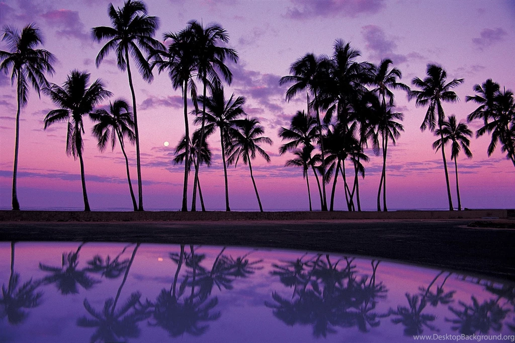 Purple Sunset Wallpapers HD Images New
