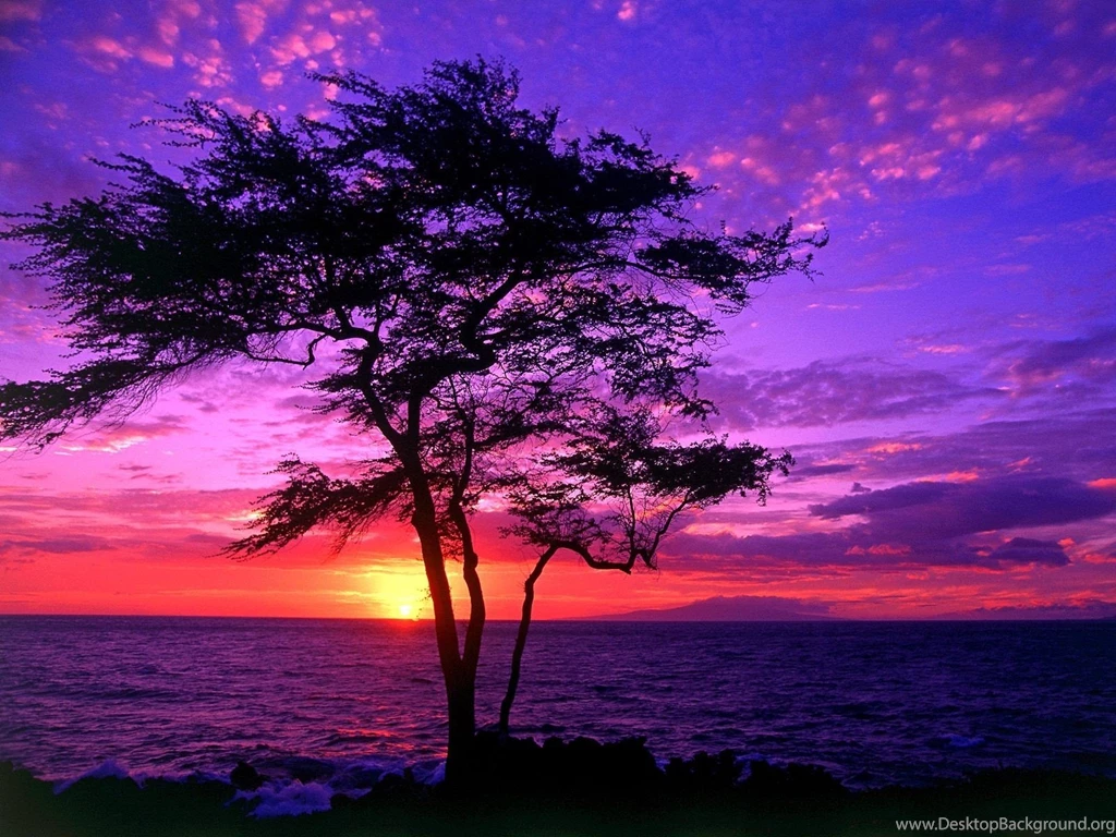 Purple Sunset Wallpapers (13343) Wallpaperesque