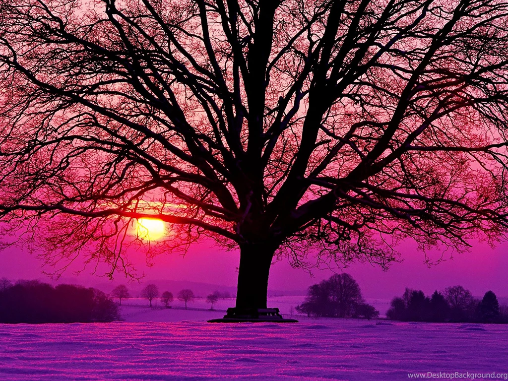 Purple, Purple, And More Purple On Pinterest