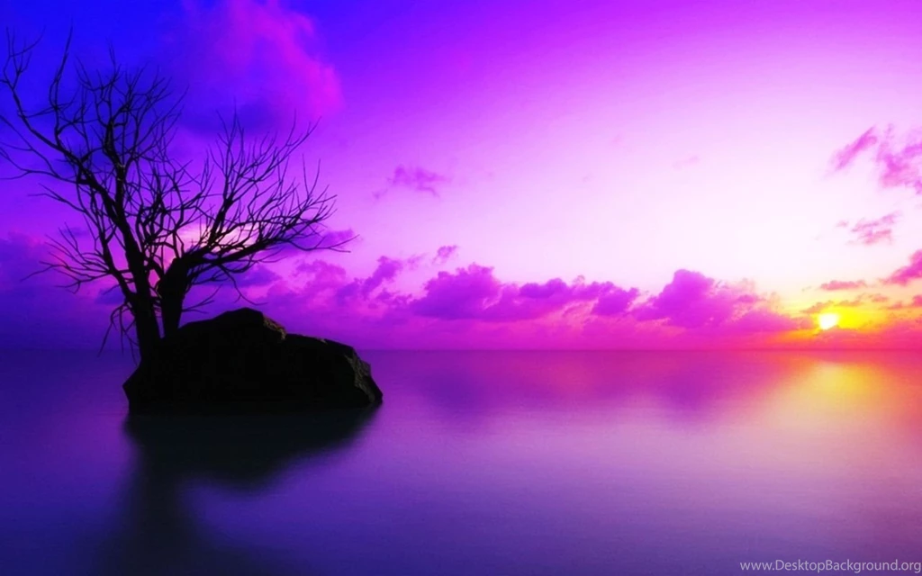 Purple Sunset Wallpapers Wallpapers Cave
