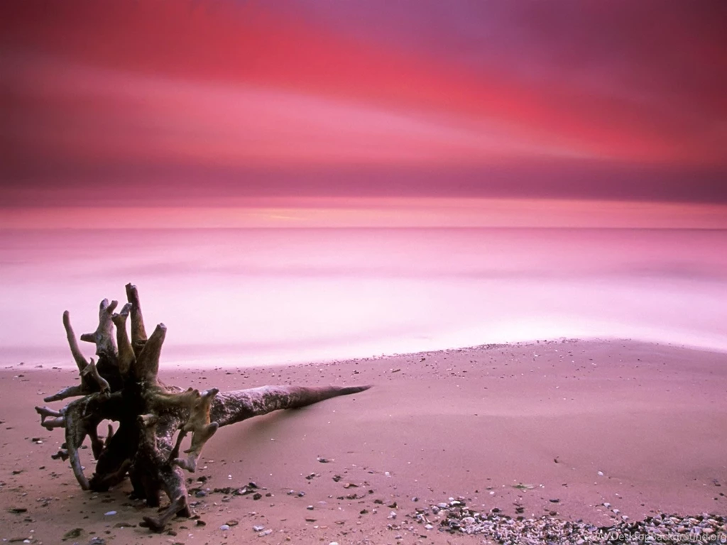 Purple Sunset