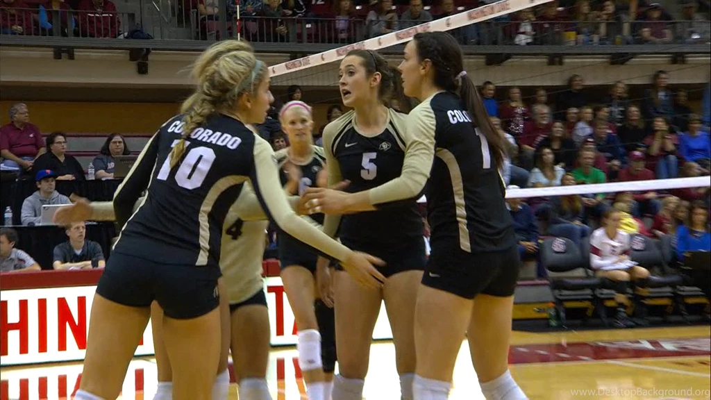 Colorado Buffaloes Vs Washington State Cougars Women's Volleyball ...