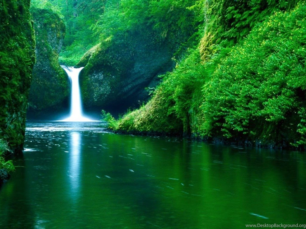 Free Live Wallpapers 7 Best Wallpapers Collection