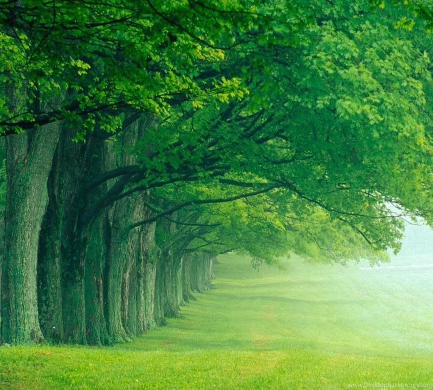 Nature Wallpapers Free Download Collection (41+)