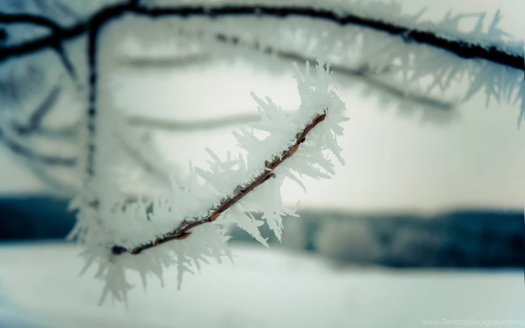 Samsung Galaxy S4 Mini Wallpapers • 119 HD Wallpapers