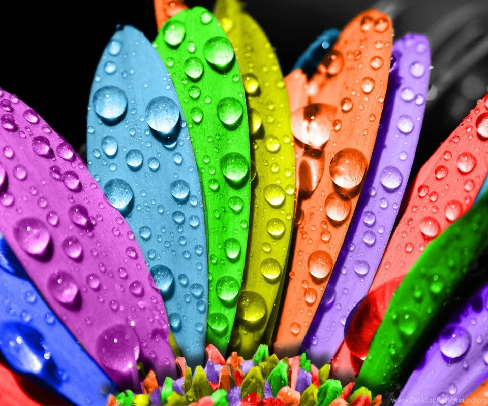 Colorful Wallpapers For HTC 06 Set 2