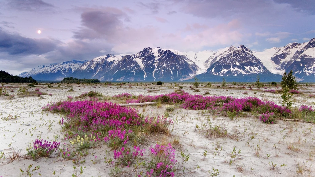 Moonrise, Desktop, Alaska, Backgrounds, Elias, Mountains (