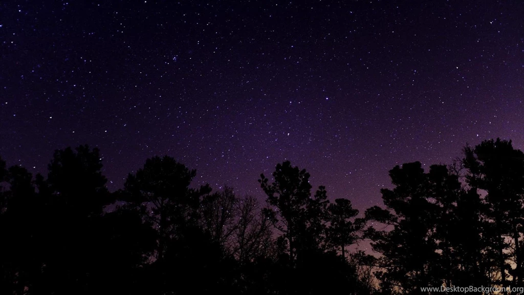 Night Nature Trees Under The Starry Sky Sky Star Tree HD ...