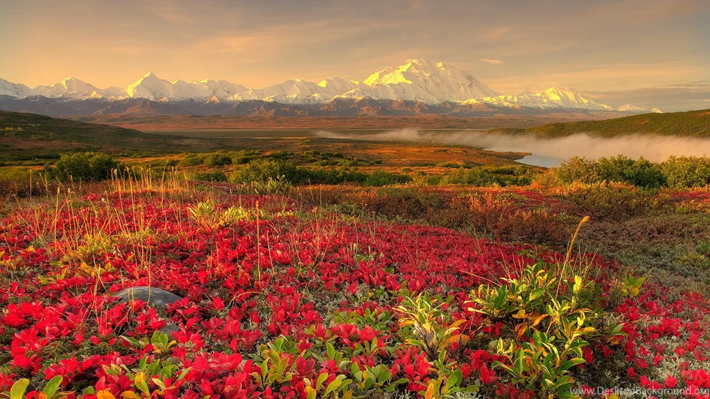 Alaska Fall Wallpapers Wallpaper.