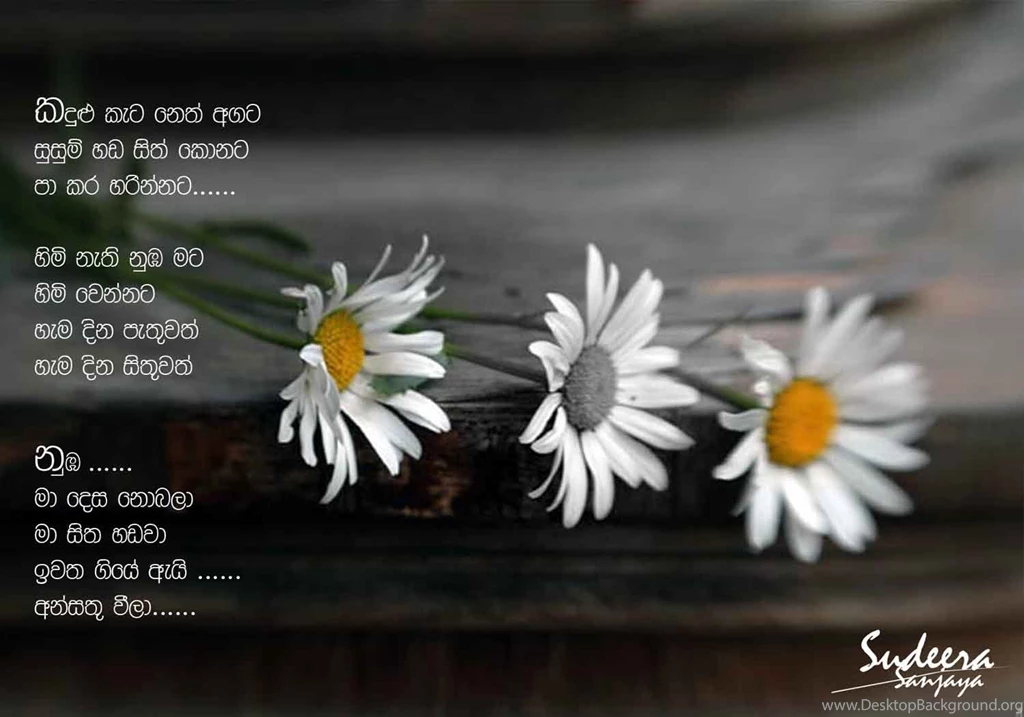 Wallpapers S English Letters Nisadas Love Page 1500x1050
