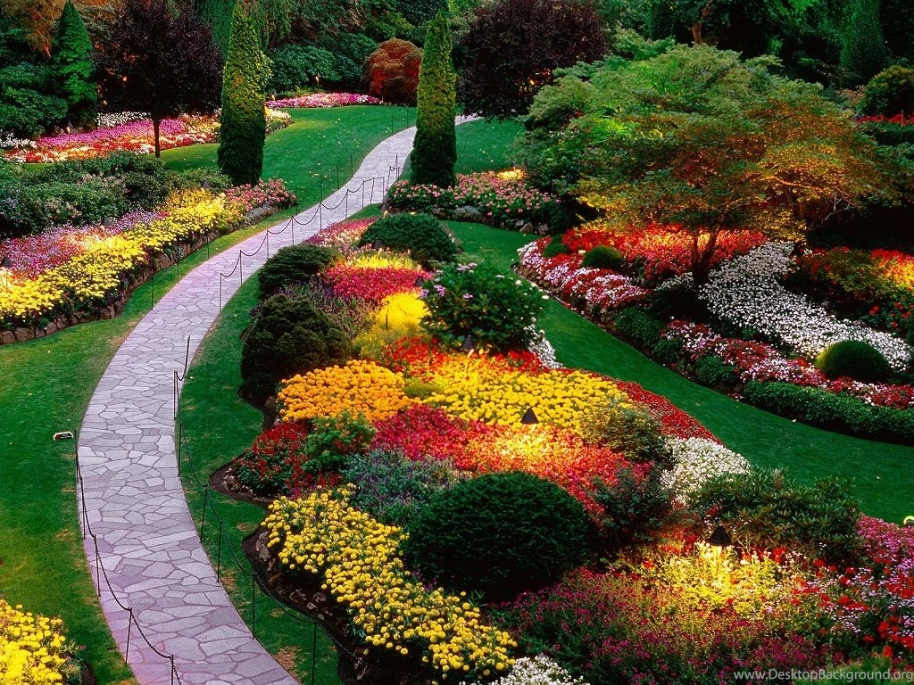 Beautiful Flower Garden Wallpapers