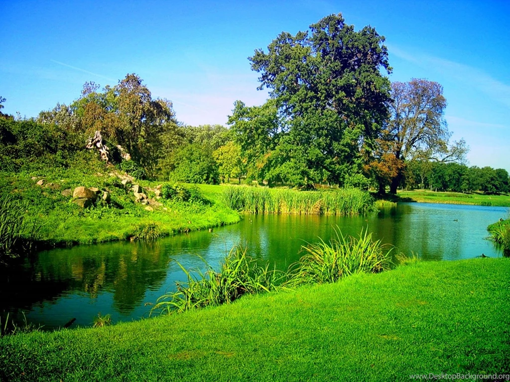 Nature Wallpapers Dr. Odd