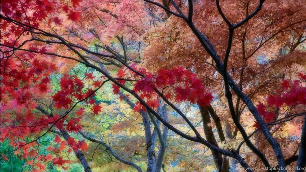 Painterly Tapestry