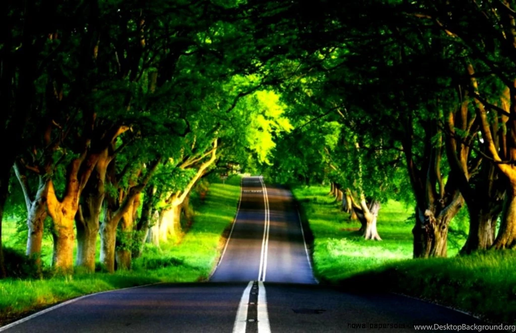 Green Nature Windows 8 Widescreen Download
