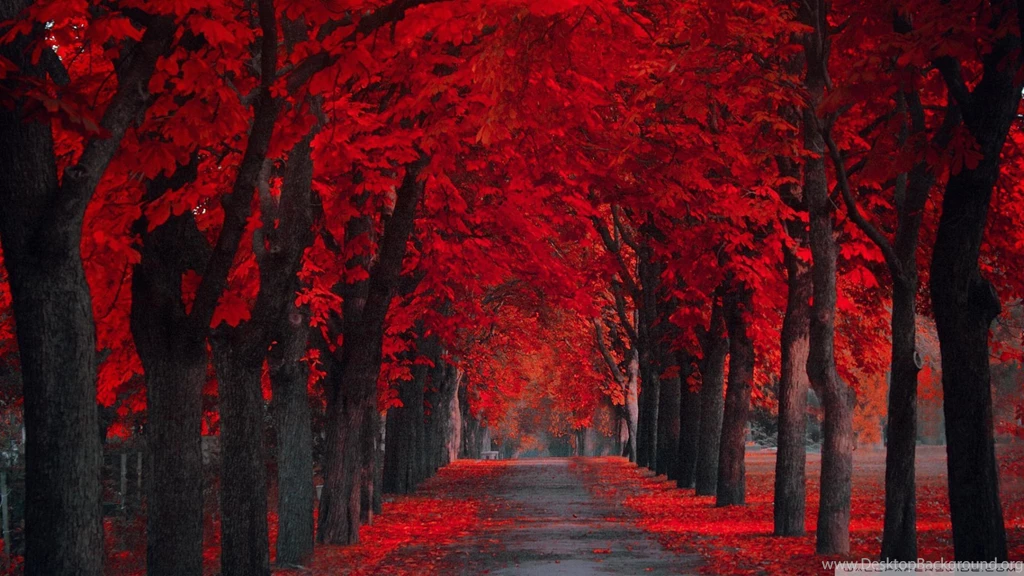 Red Autumn Collection (29+)