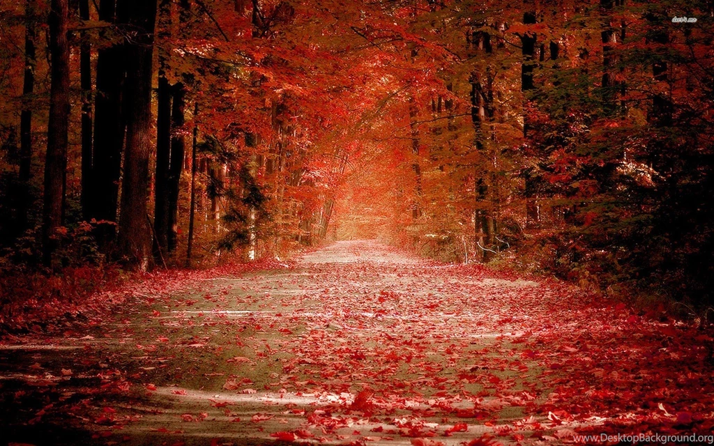 Red Autumn Collection (29+)