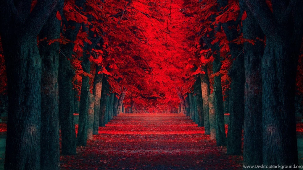 Strange Road Wallpapers, Green Backgrounds, Pictures And Images