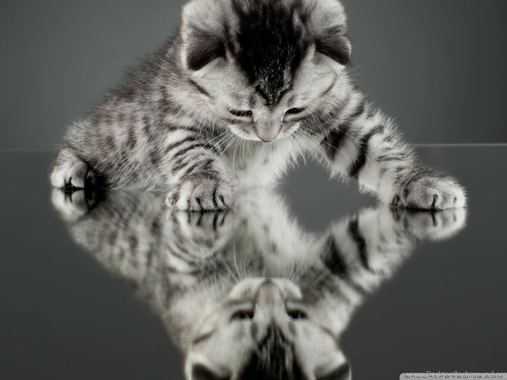 Strange Way To See The Things HD Desktop Wallpapers : Widescreen ...