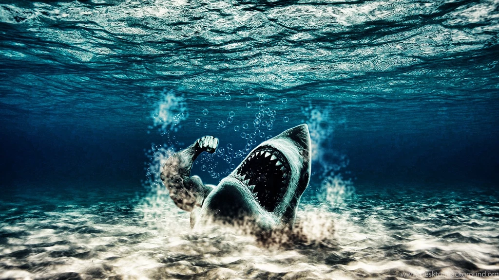 Strange Water Shark Wallpapers