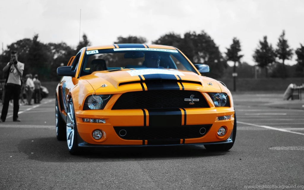 2013 Ford Mustang Shelby GT500, Ford Mustang Shelby Gt500 ...