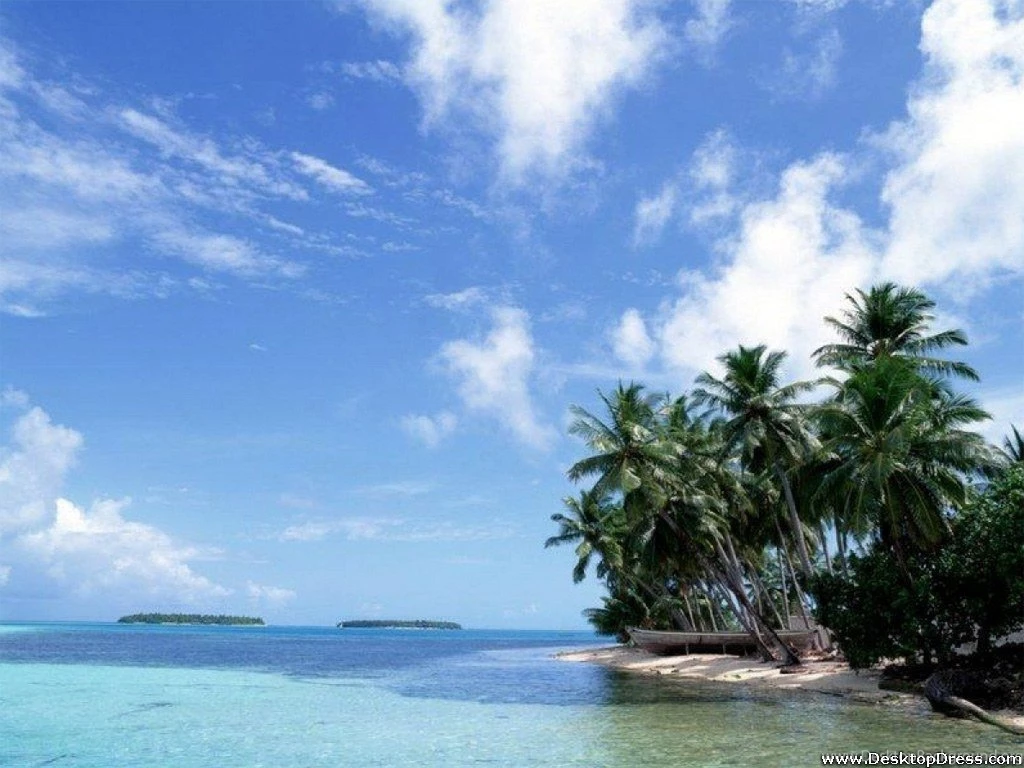 Desktop Wallpapers » Natural Backgrounds » Beach, Coconut Tree ...