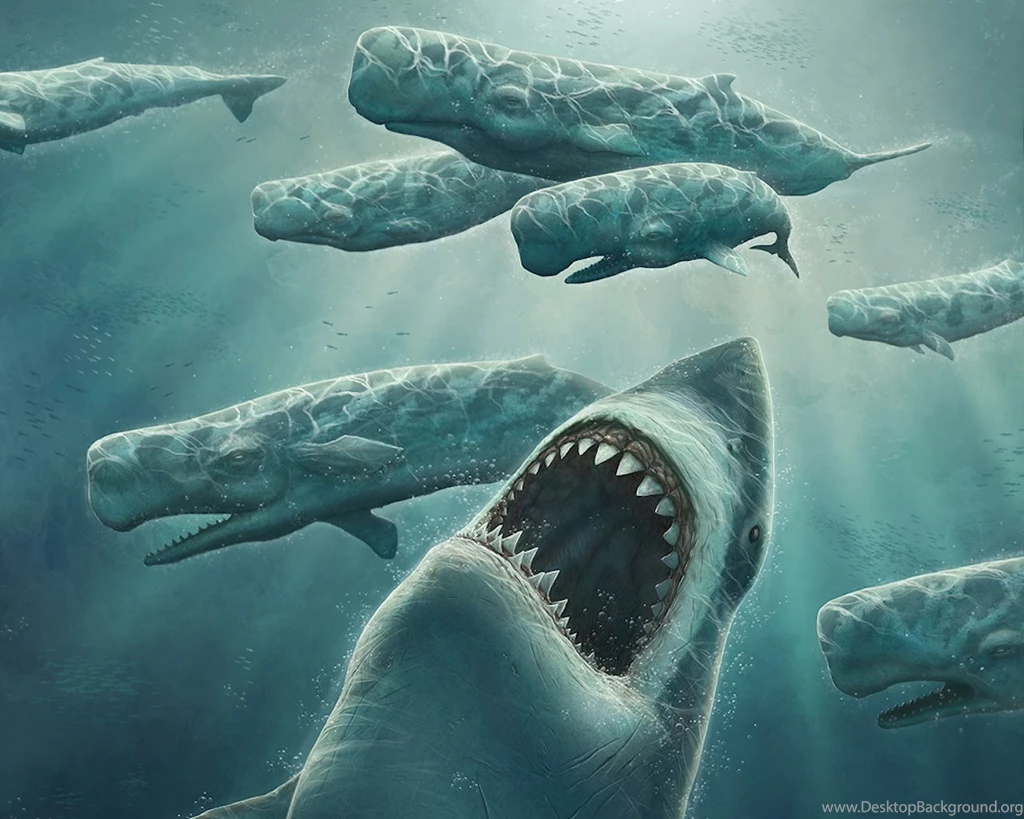 Wallpapers Shark Attack