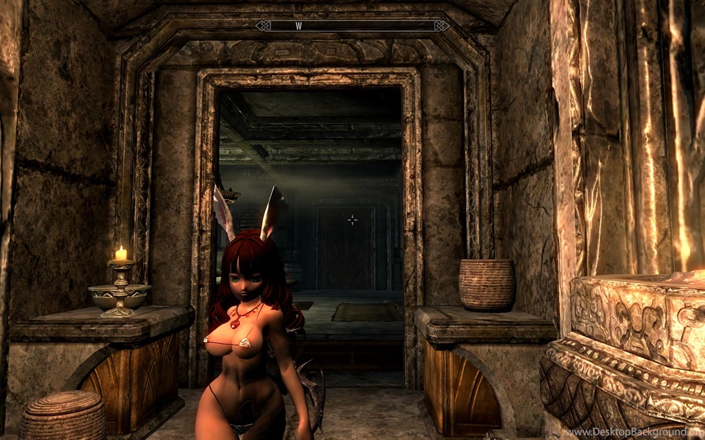 Skyrim Nexus Mods And Community