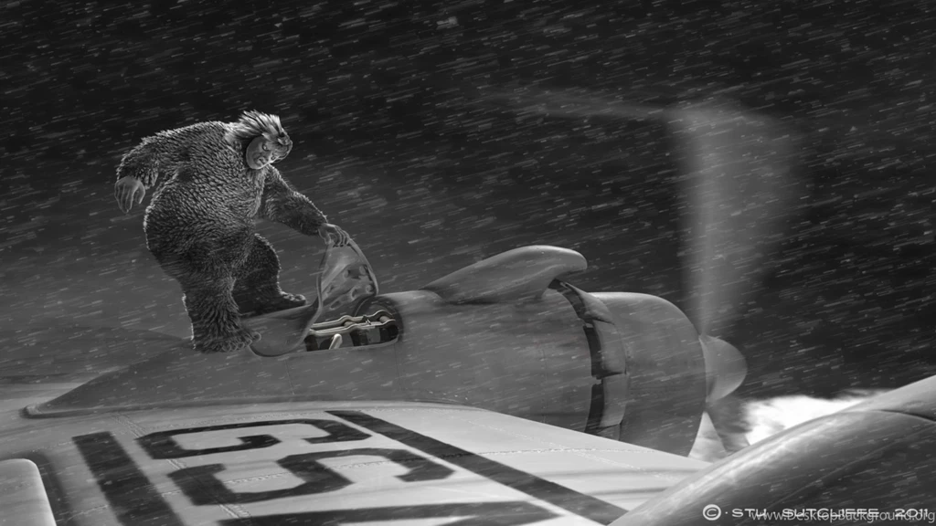 StuOVision: A One Way Ticket To The Twilight Zone......