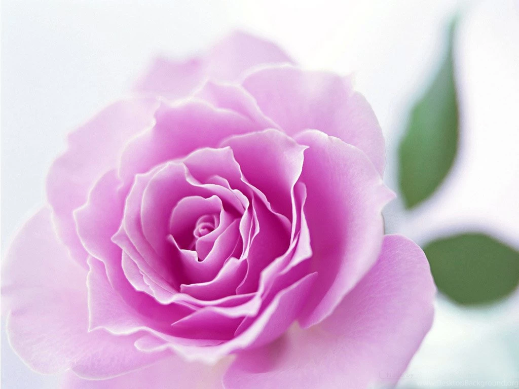 Beautiful Wallpapers Free Download For Mobile,desktop Wallpapers