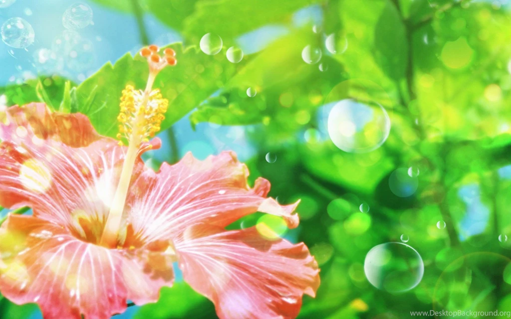 Desktop Hd Images Of Flowers 3d Hd Pictures.