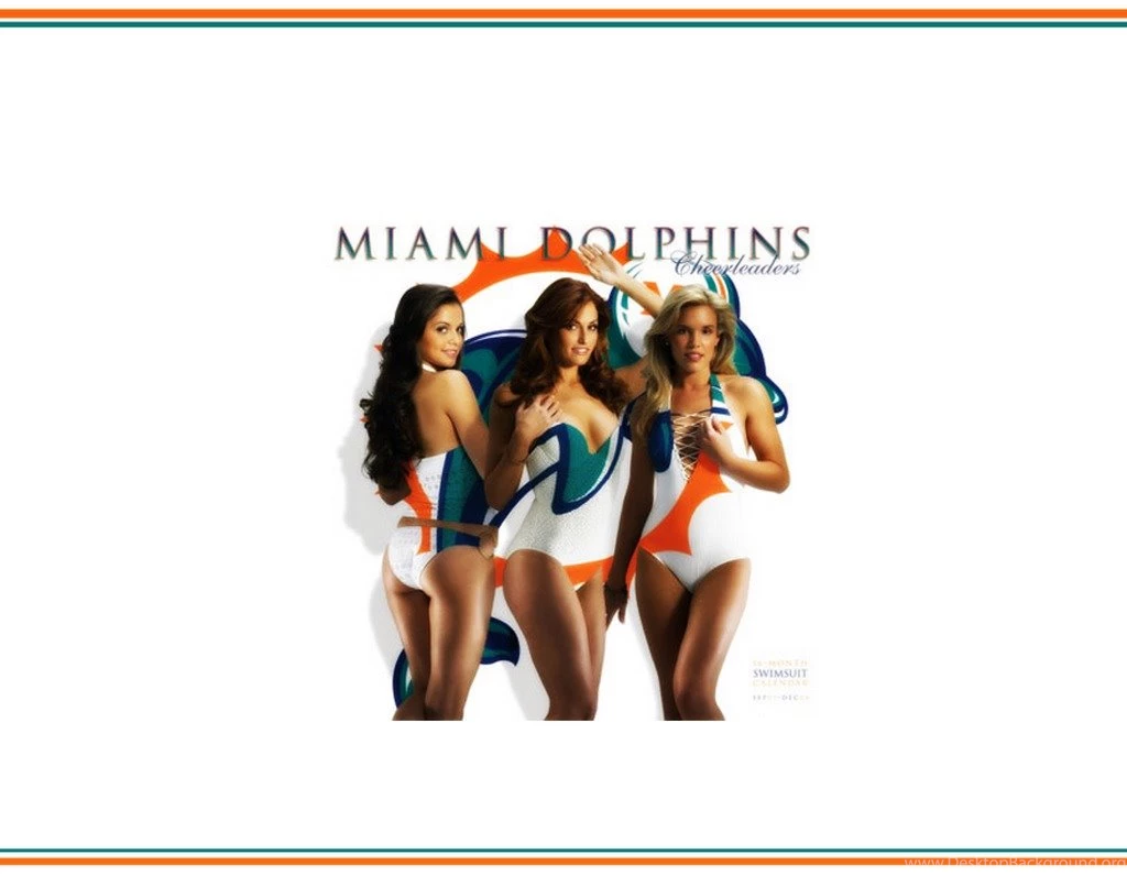Photo 3 Of 13, Miami Dolphins Cheerleading