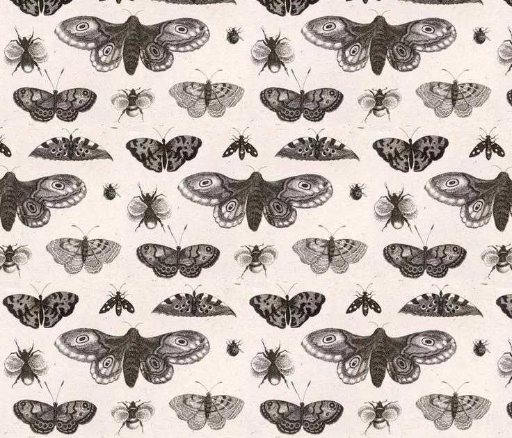 Vintage Botanical Illustration Fabric, Wallpapers & Gift Wrap ...