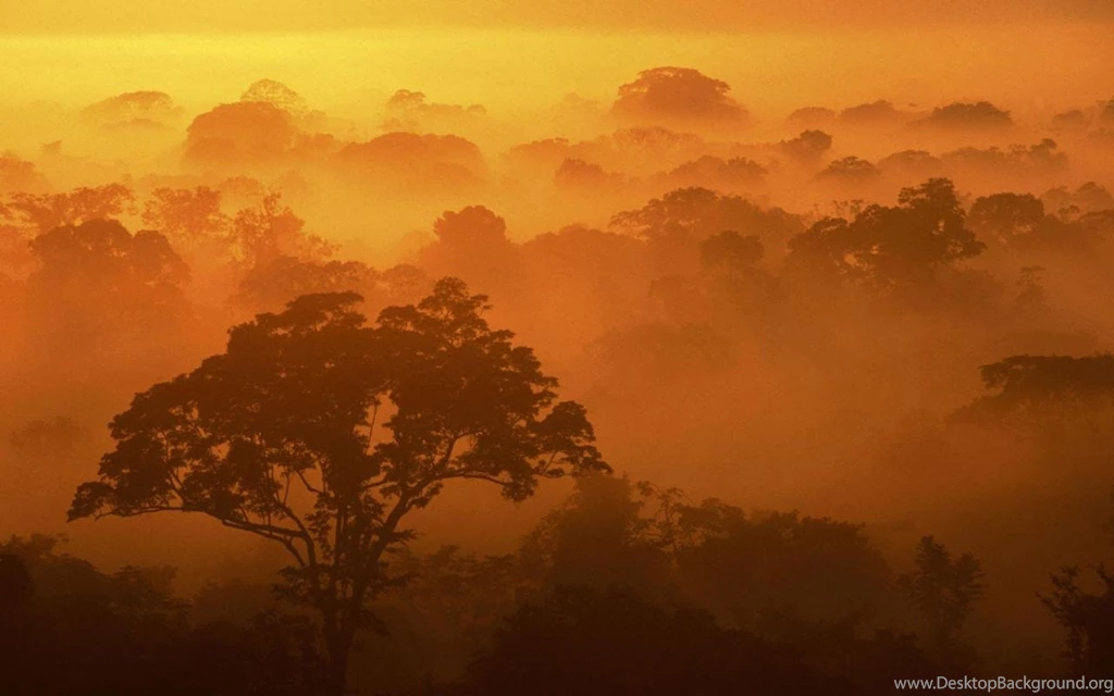 Natural Scenery Desktop Wallpapers Picture 1280x800 Widescreen Hd ...