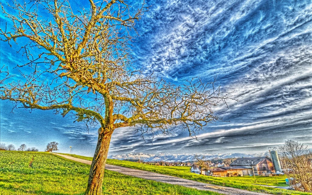 Download Backgrounds Wallpapers Wallpapers Zone