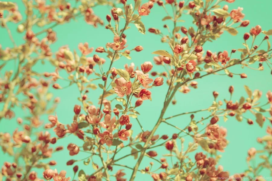 Etsy Wallpapers Wallpapers Zone