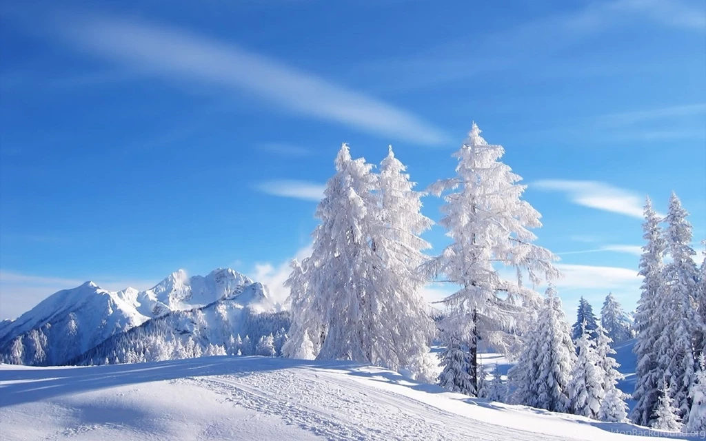 Winter Wonderland Desktop Backgrounds   Wallpapers Cave